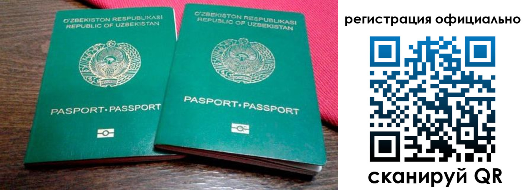 прописка регистрация в Оленегорске